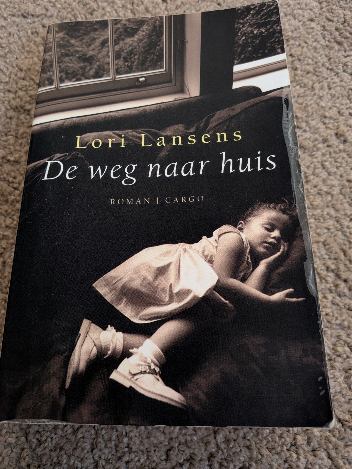 De weg naar huis - Lori Lansens (Roman), Ophalen of Verzenden, Gelezen, Lori Lansens