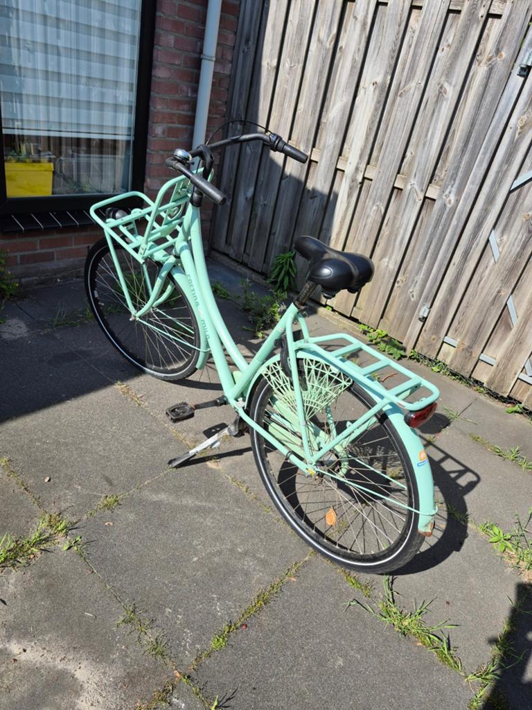Cortina Milo fiets - Mintgroen, Frame 57 cm, Fietsen en Brommers, Fietsen | Dames | Damesfietsen, Terugtraprem, Gebruikt, Versnellingen