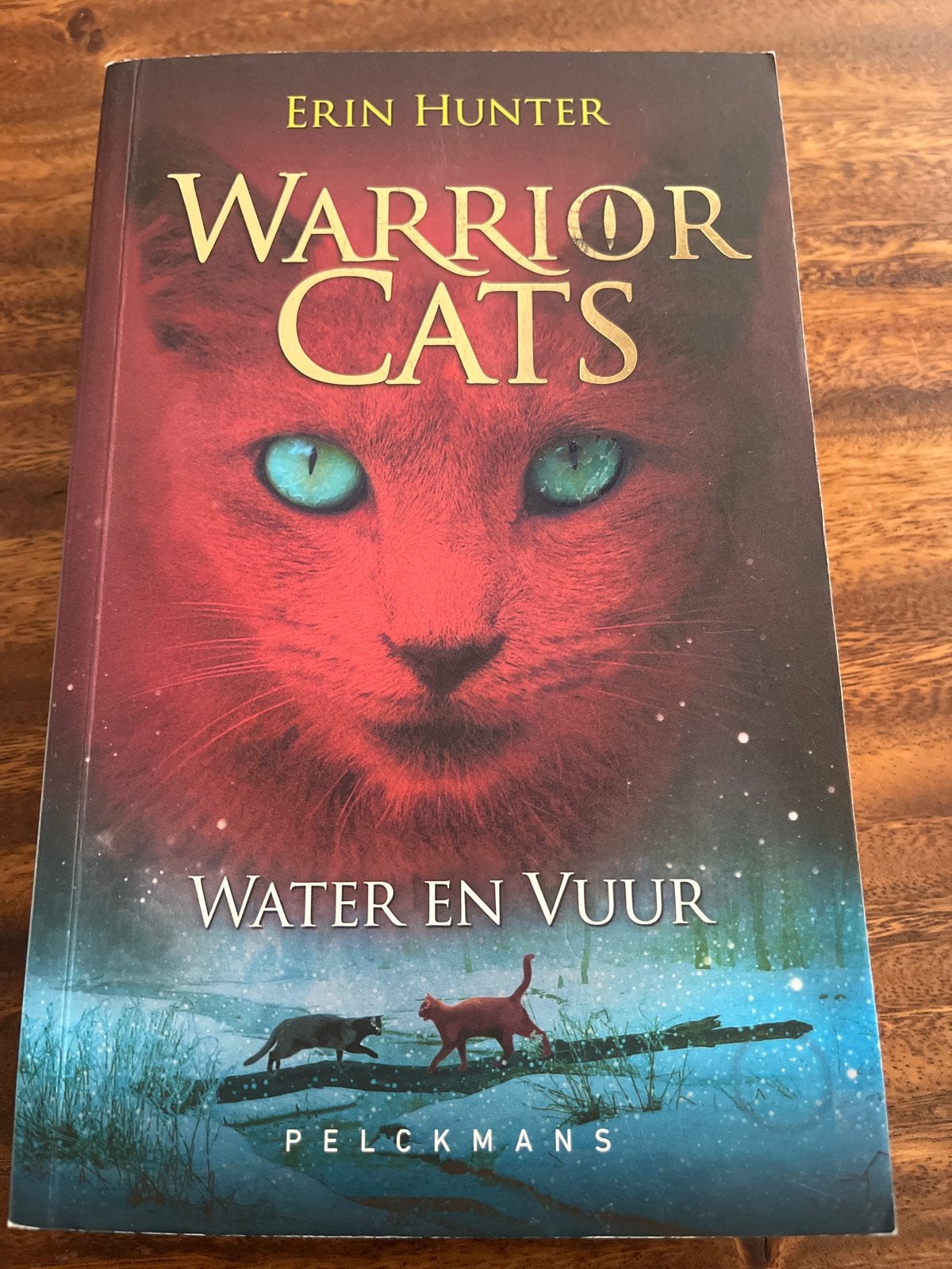 Warrior Cats: Water en Vuur - Boek 2, Ophalen of Verzenden, Zo goed als nieuw, Fictie algemeen