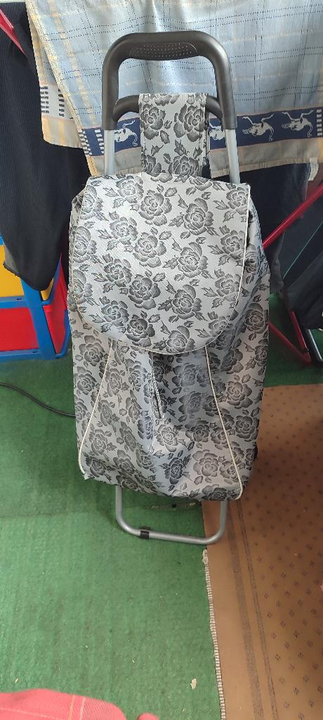 Mooie boodschappentrolley, 40 tot 60 cm, 30 cm of meer, Gebruikt, Minder dan 35 cm