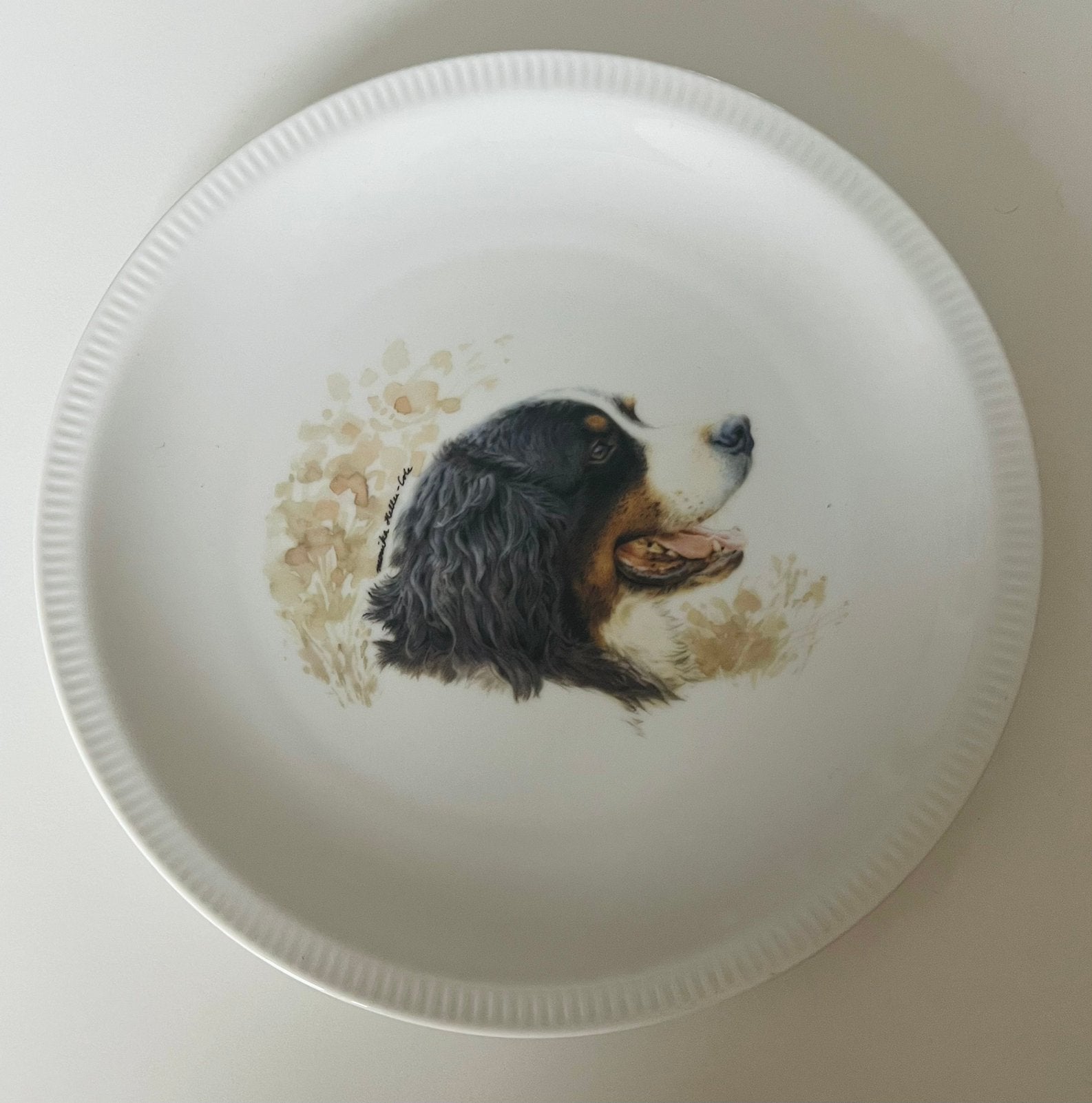 Een Engelse bord Royal porselain , hond Berner Berghond, Ophalen of Verzenden, Rechthoekig, Porselein of Keramiek