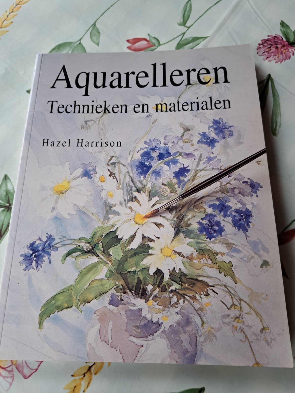 Z: Aquarelleren: Technieken en Materialen - Hazel Harrison, Hobby en Vrije tijd, Schilderen, Ophalen of Verzenden