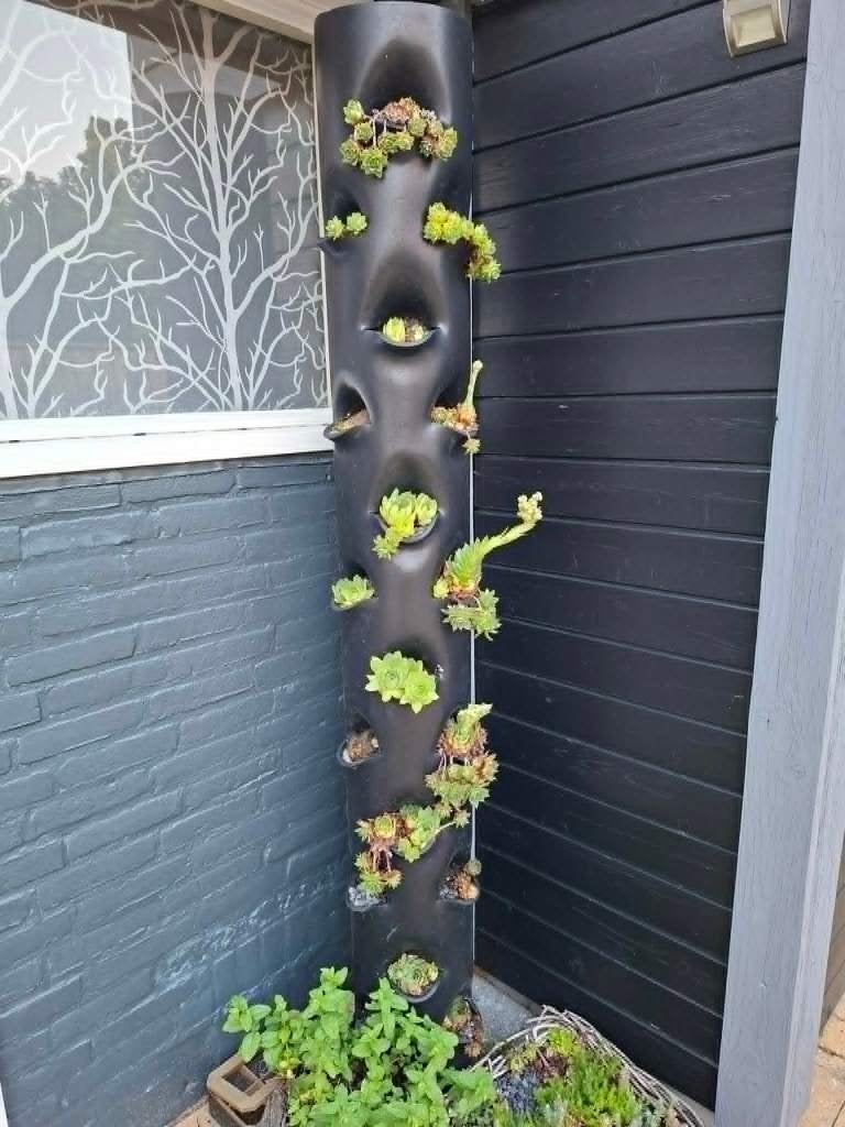 Planten paal 2 meter, Tuin en Terras, Palen, Balken en Planken, Ophalen, Gebruikt, 180 tot 250 cm, Palen