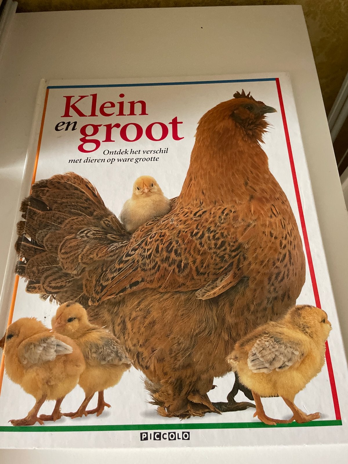 Klein en Groot: Ontdek het verschil met dieren, Non-fictie, Jongen of Meisje, Ophalen of Verzenden, Zo goed als nieuw