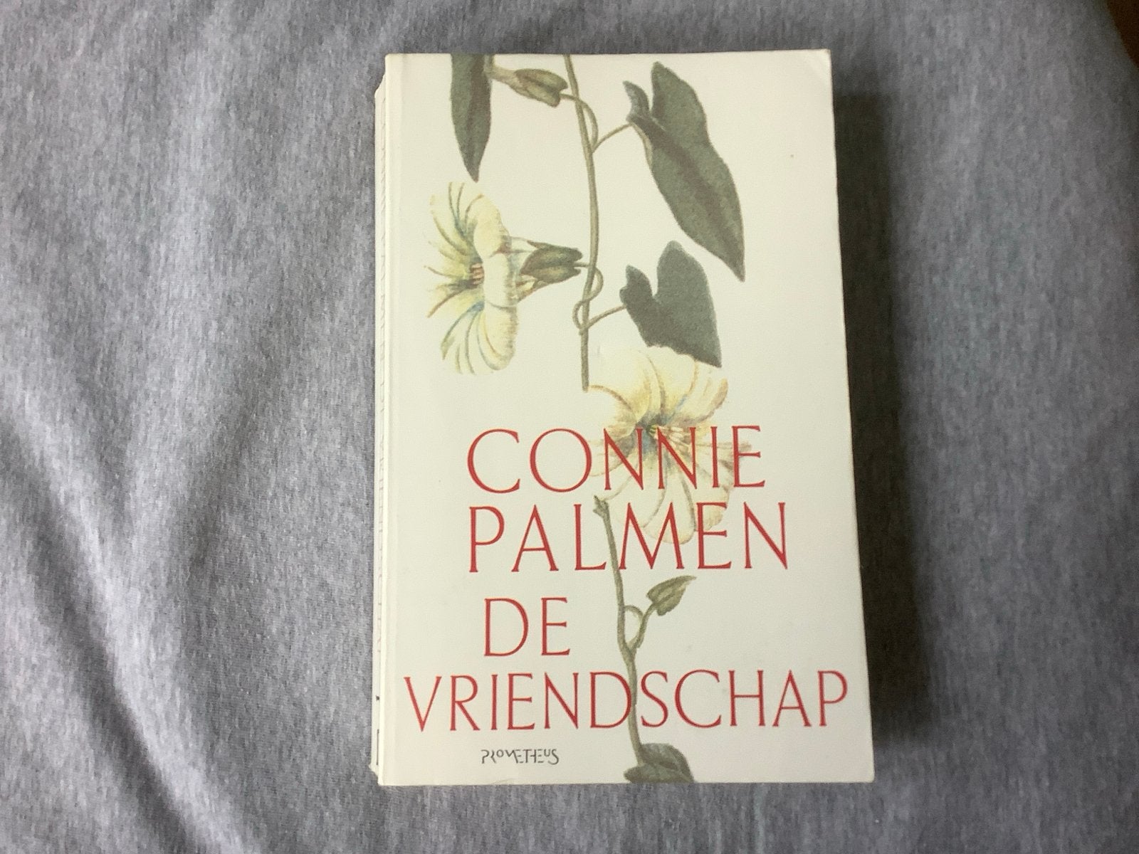 Connie Palmen - De Vriendschap (Boek), Ophalen of Verzenden, Gelezen, Nederland