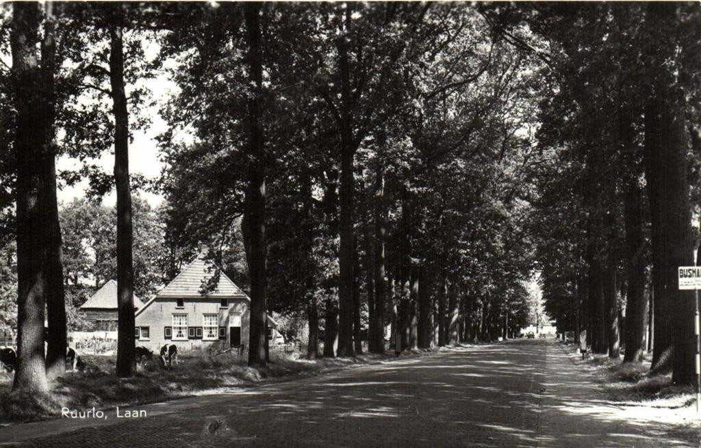 Ruurlo, Laan - ongelopen, Ophalen of Verzenden, 1960 tot 1980, Ongelopen, Gelderland