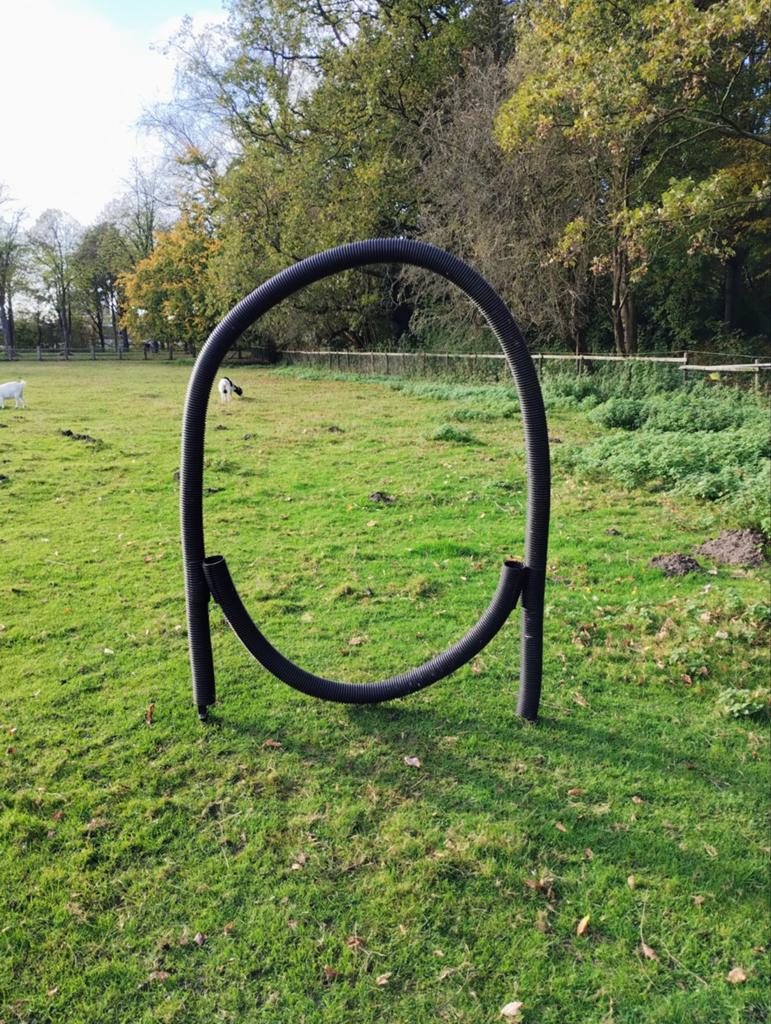 Horse agility hoepel voor mini's/shetlanders, Ophalen of Verzenden, Overige soorten