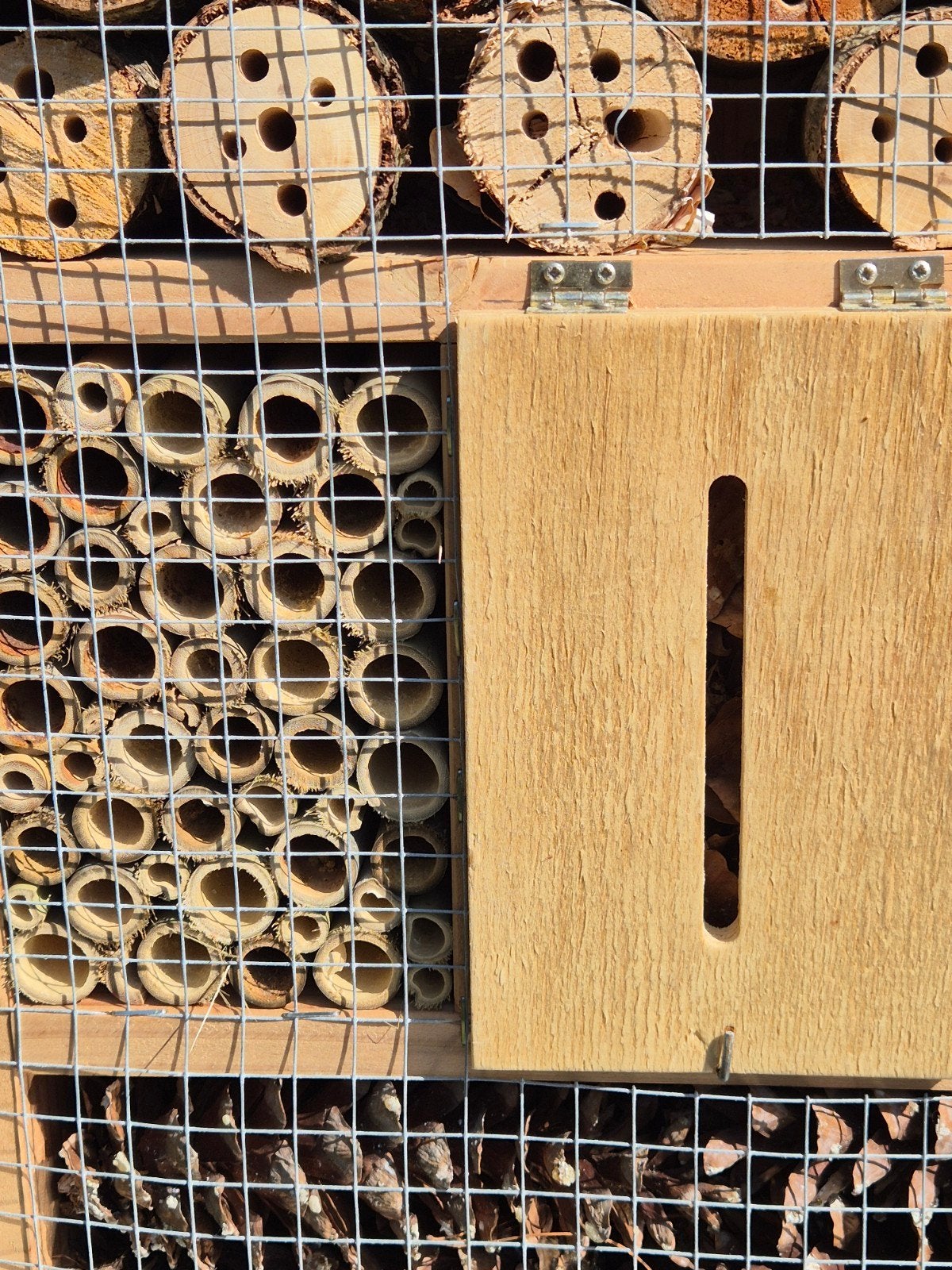 insectenhotel Douglashout 40x65 cm, Ophalen, Nieuw