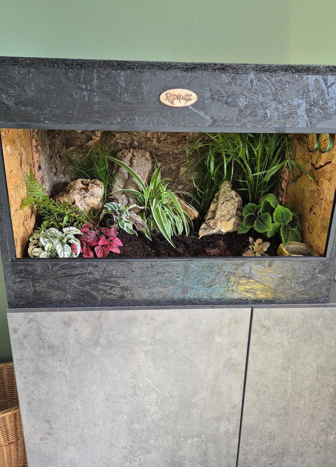 OSB terrarium (leeg), Ophalen