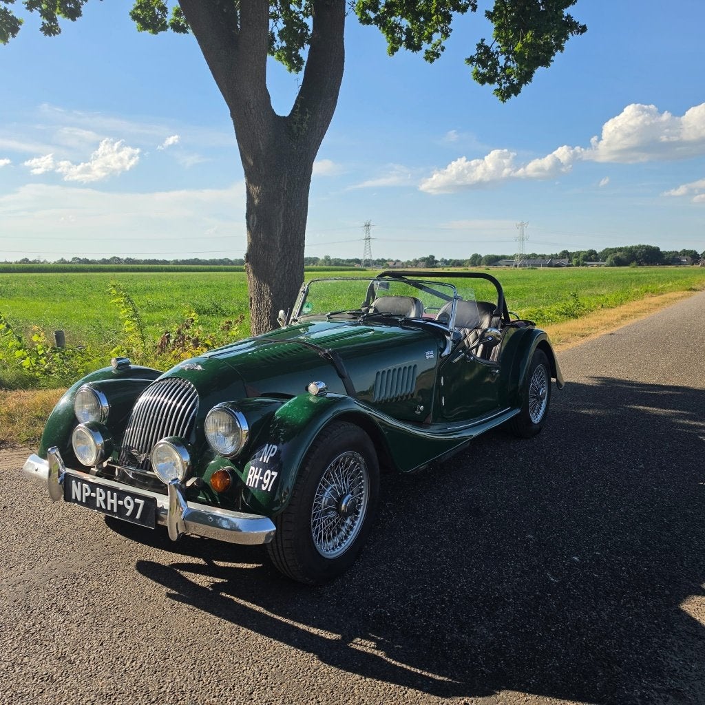 Overig Morgan