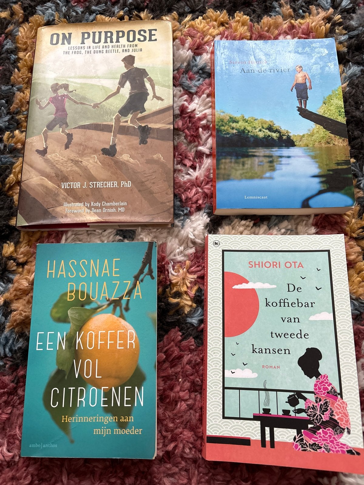 Diverse boeken: fictie, non-fictie en jeugdliteratuur, Boeken, Ophalen, Gelezen, Nederland
