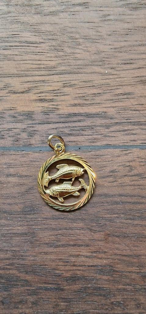 Gouden hangertje 14k sterrenbeeld Vissen, Overige voorstellingen, Ophalen of Verzenden, Zo goed als nieuw, Goud