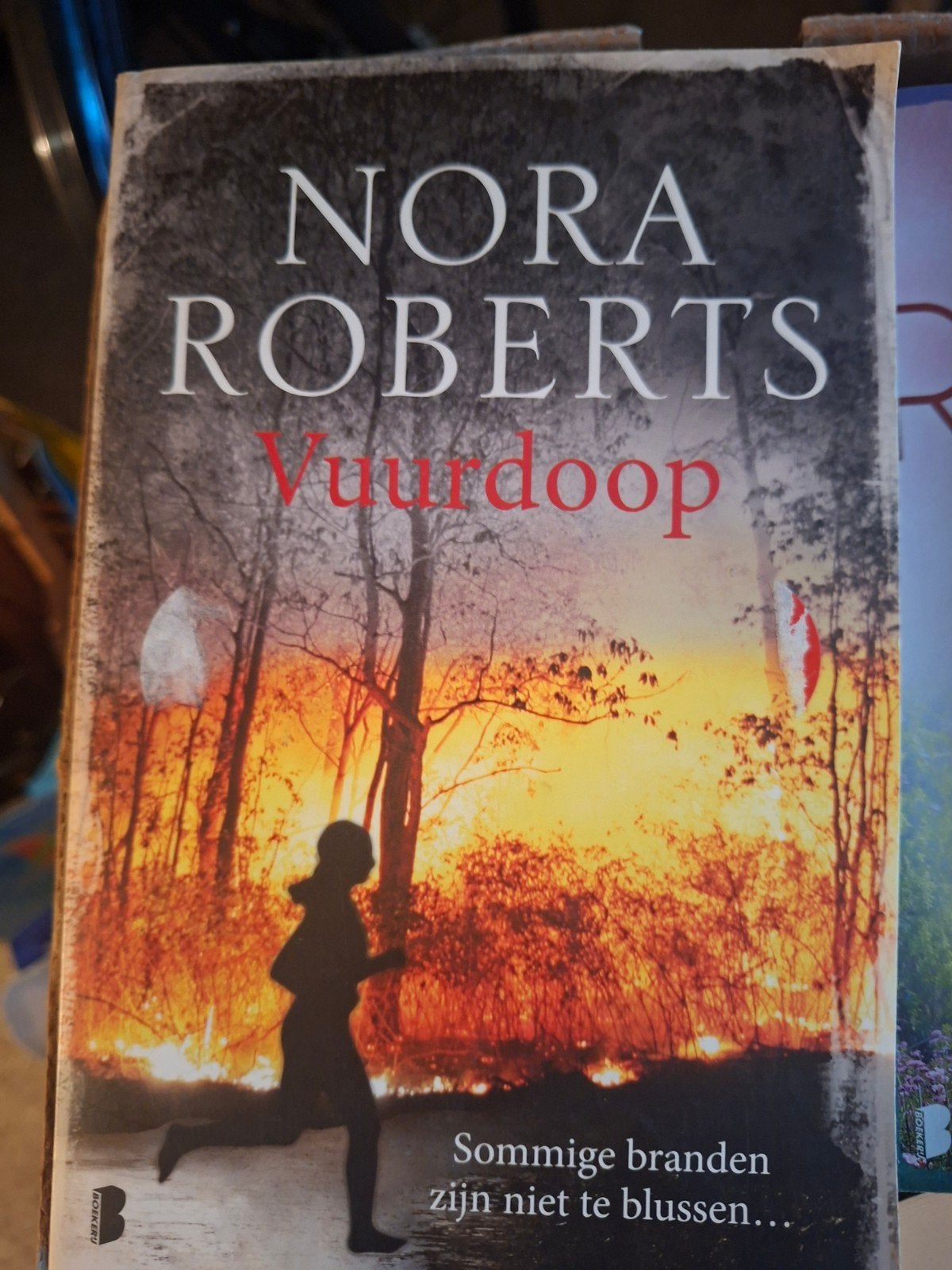 Nora Roberts - Vuurdoop, Boeken, Ophalen of Verzenden, Zo goed als nieuw, Nora Roberts