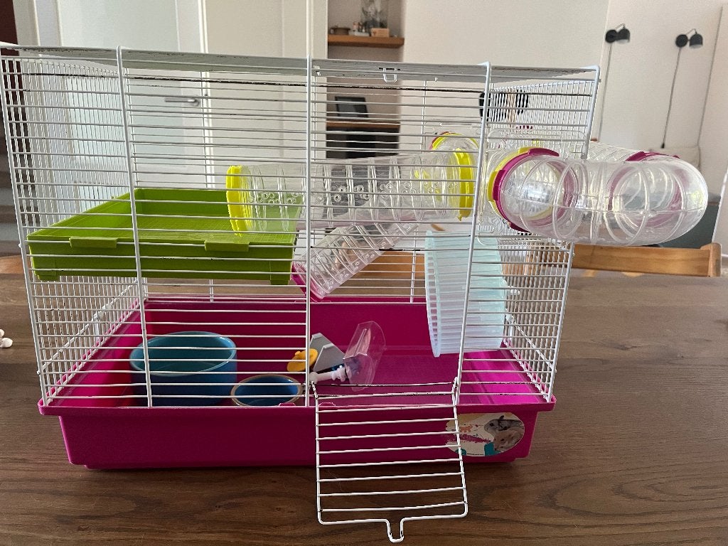 Hamsterkooi van Ferplast, Dieren en Toebehoren, Knaagdieren en Konijnen | Hokken en Kooien, Kooi, Gebruikt, Minder dan 75 cm, Muis