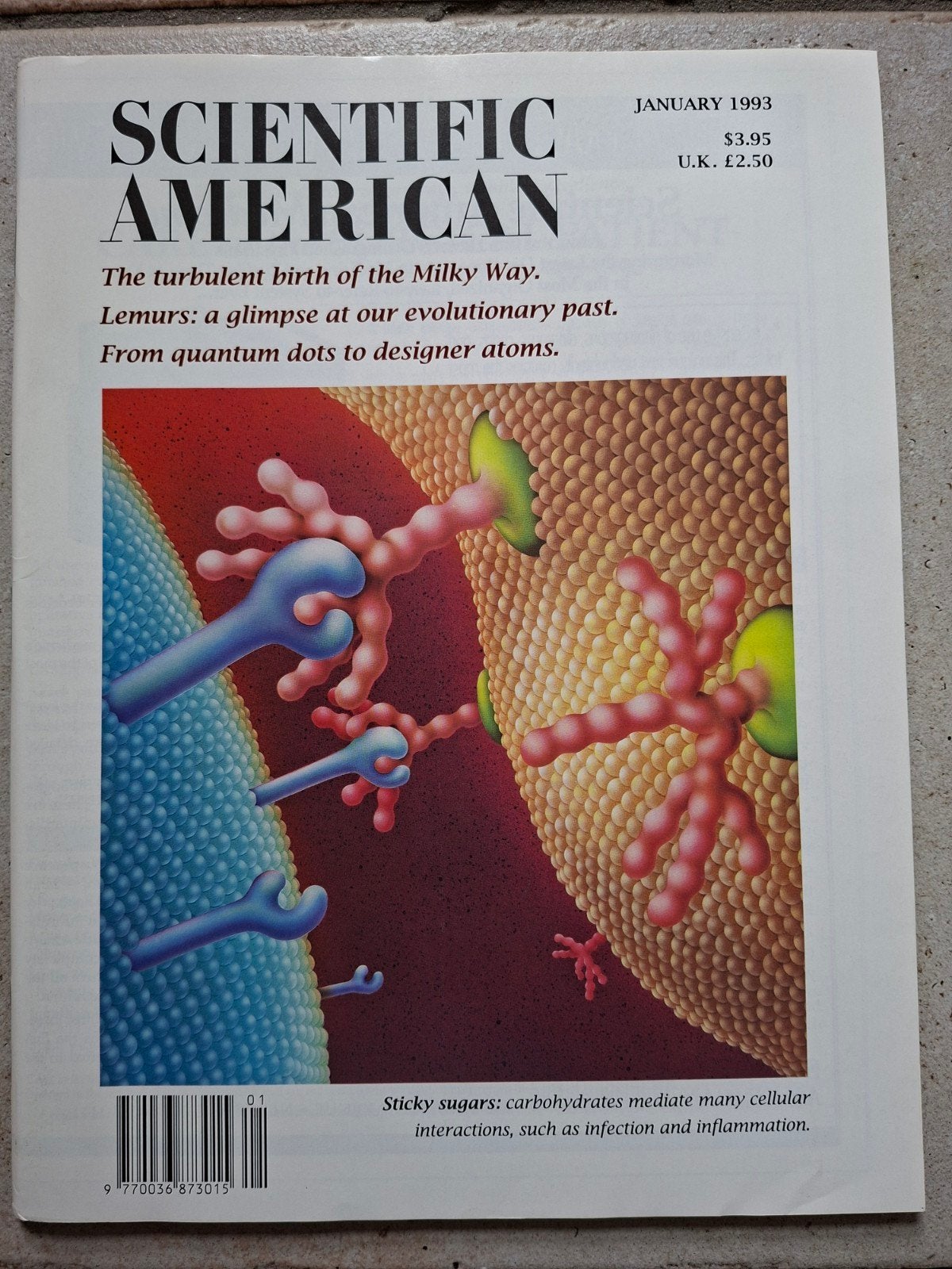 Jaargangen Scientific American sinds 1978, Boeken, Tijdschriften en Kranten, Ophalen, Gelezen, Wetenschap en Natuur