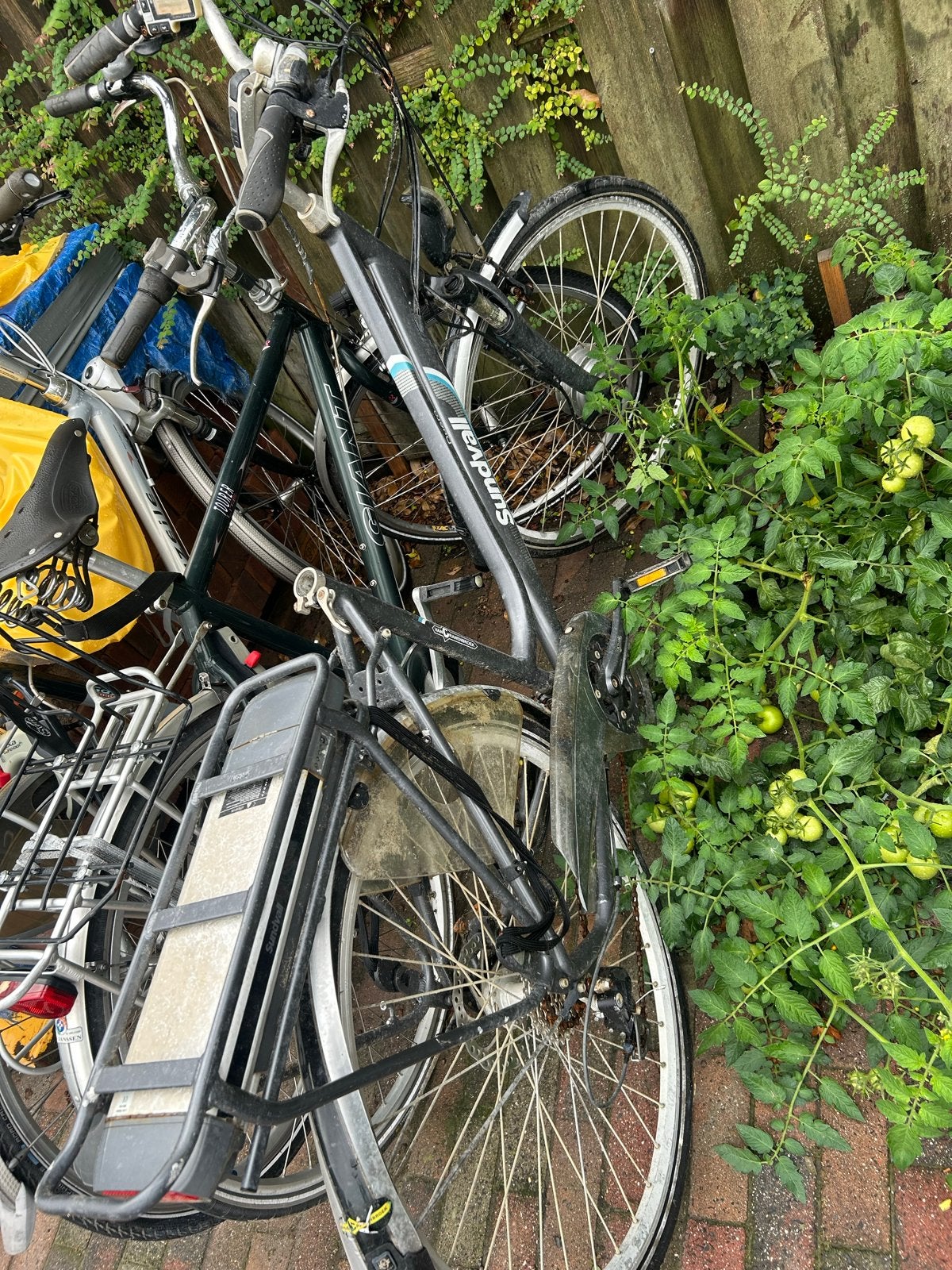 Sundvall Duero E-bike met waterschade, Ophalen, Gebruikt, Overige merken