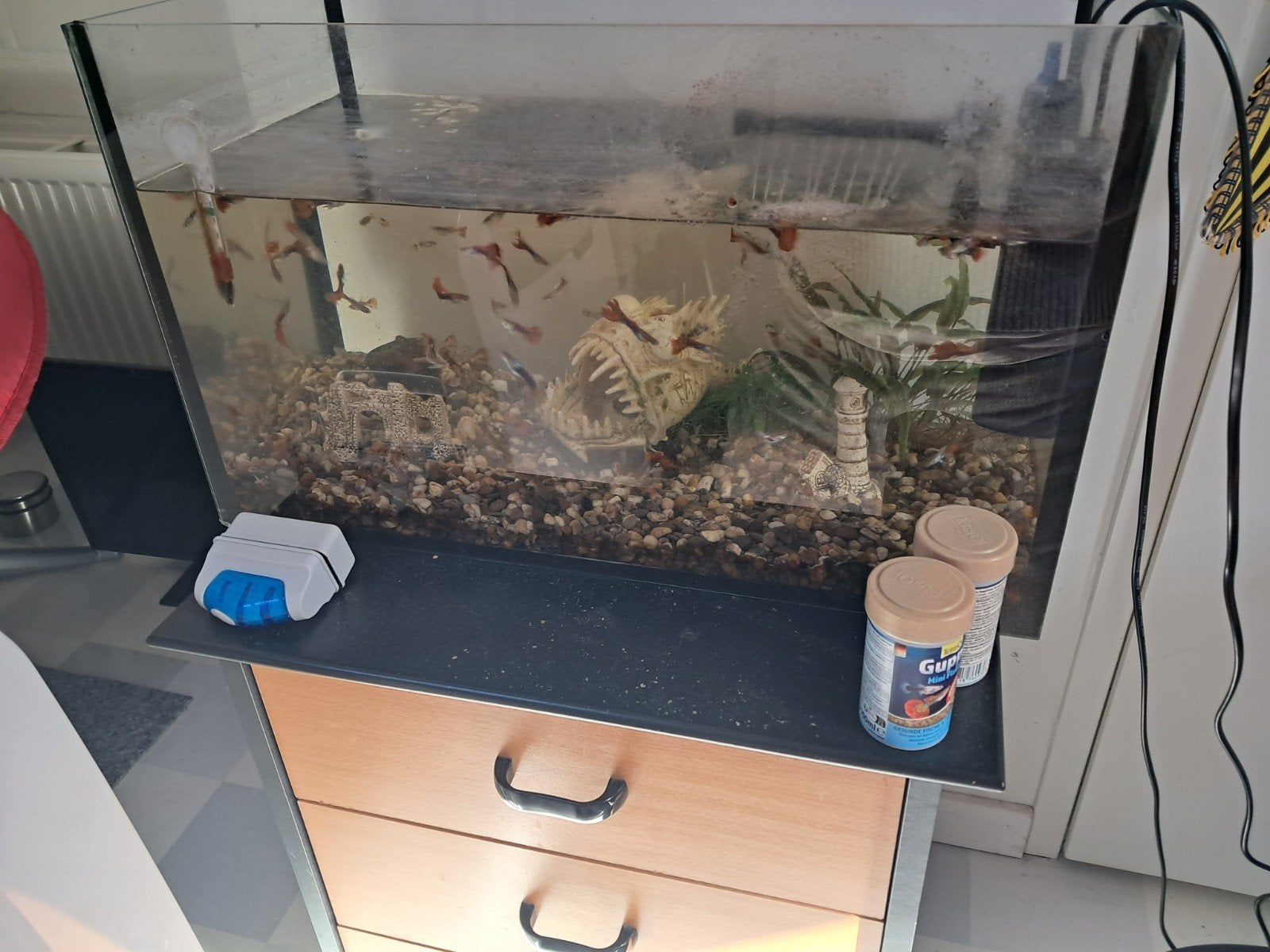 Aquarium + Vissen en accessoires, Ophalen, Gebruikt