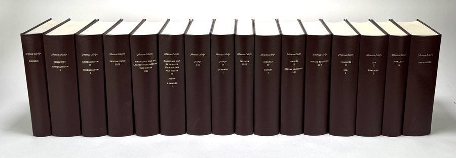 118. Johannes Calvijn - Verklaring van de Bijbel, 2004, Antiek en Kunst, Ophalen, Bijbel