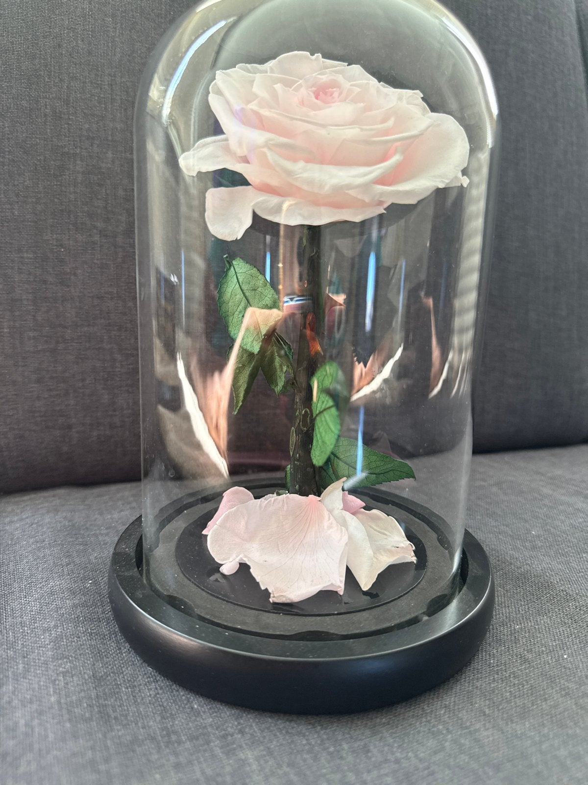 Betoverende Roze Roos in Glazen Stolp - Eeuwige Schoonheid, Verzenden, Roze, Zo goed als nieuw, Modern