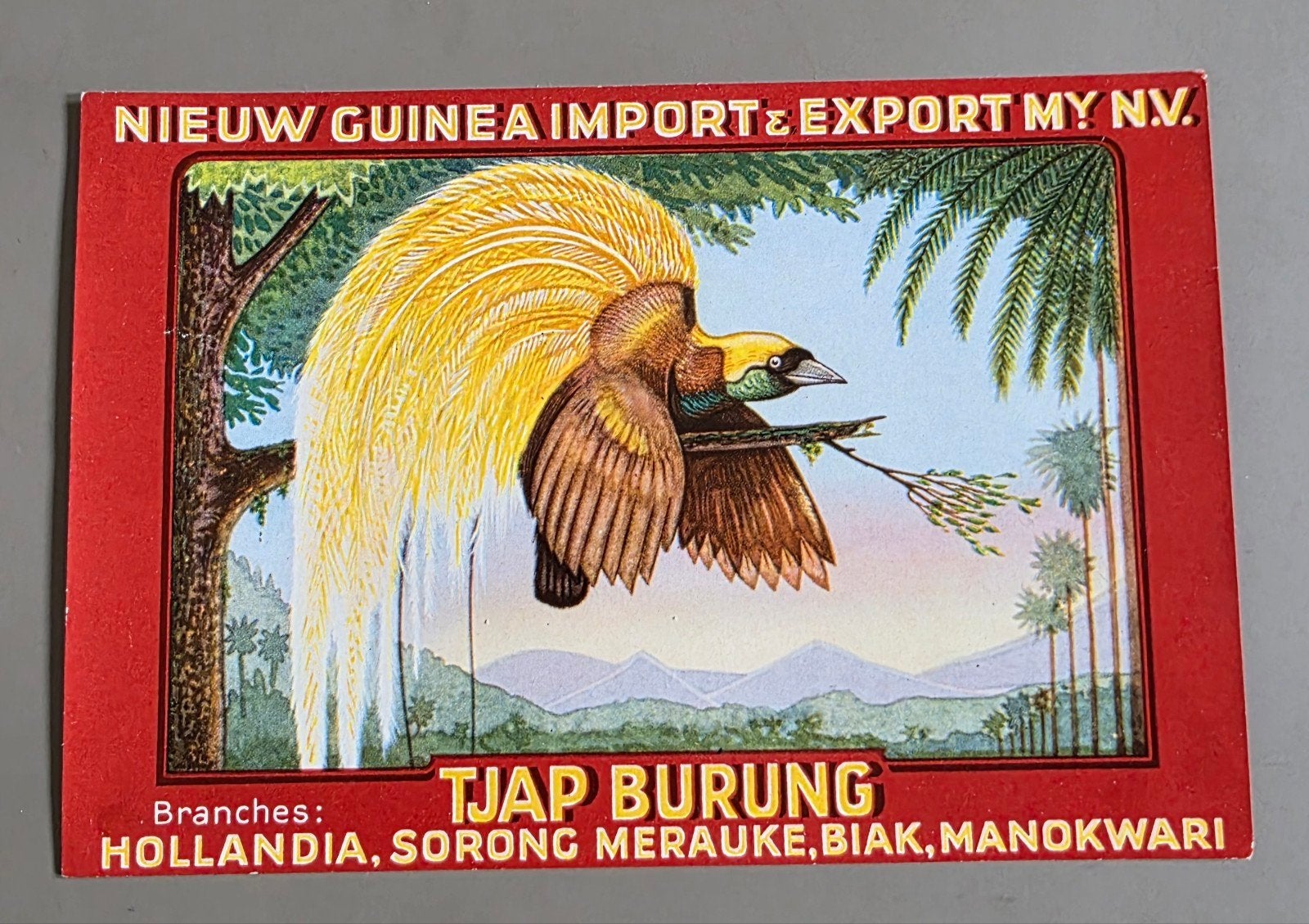 088) ORIGINEEL ETIKET NIEUW GUINEA IMPORT MY NV HOLLANDIA, Verzamelen, Verzenden, Zo goed als nieuw, Overige typen
