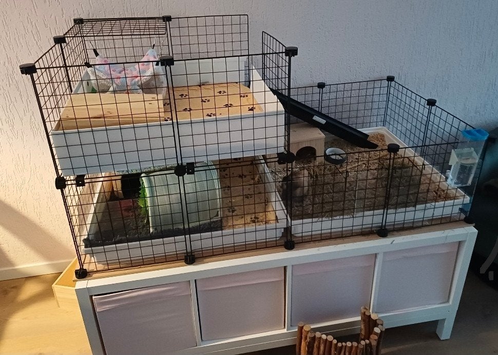 draadkooi cavia verblijf, Dieren en Toebehoren, Ophalen, Kooi, 110 cm of meer, Zo goed als nieuw