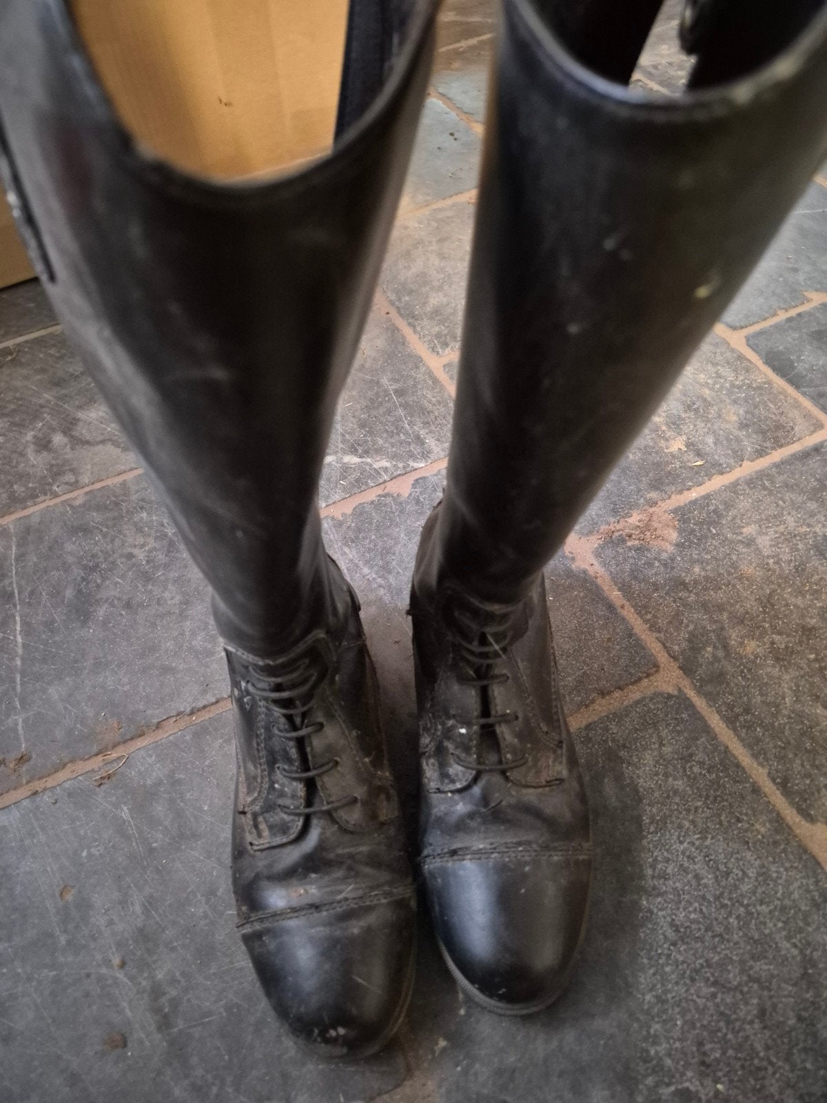 horka leren rijkaarzen, maat 33, Dieren en Toebehoren, Paardrijkleding, Gebruikt, Dressuur, Overige merken, Ophalen of Verzenden