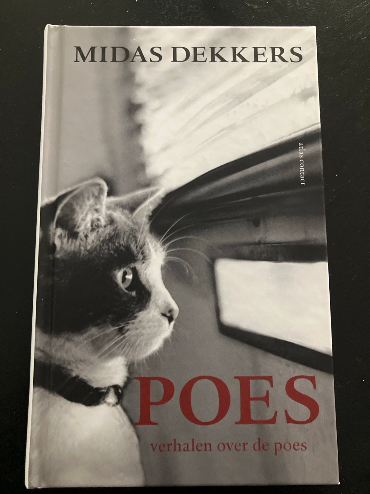 Midas Dekkers - POES: Verhalen over de poes, Boeken, Ophalen of Verzenden, Nieuw, Katten