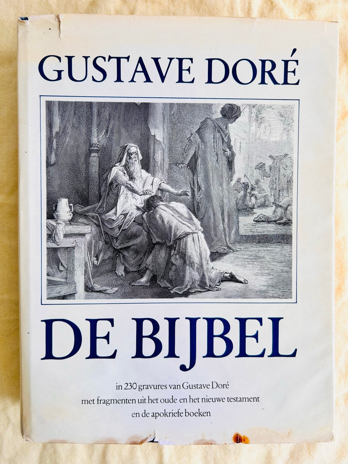 De Bijbel met illustraties van Gustave Doré, Boeken, Ophalen of Verzenden, Gelezen, Christendom | Katholiek