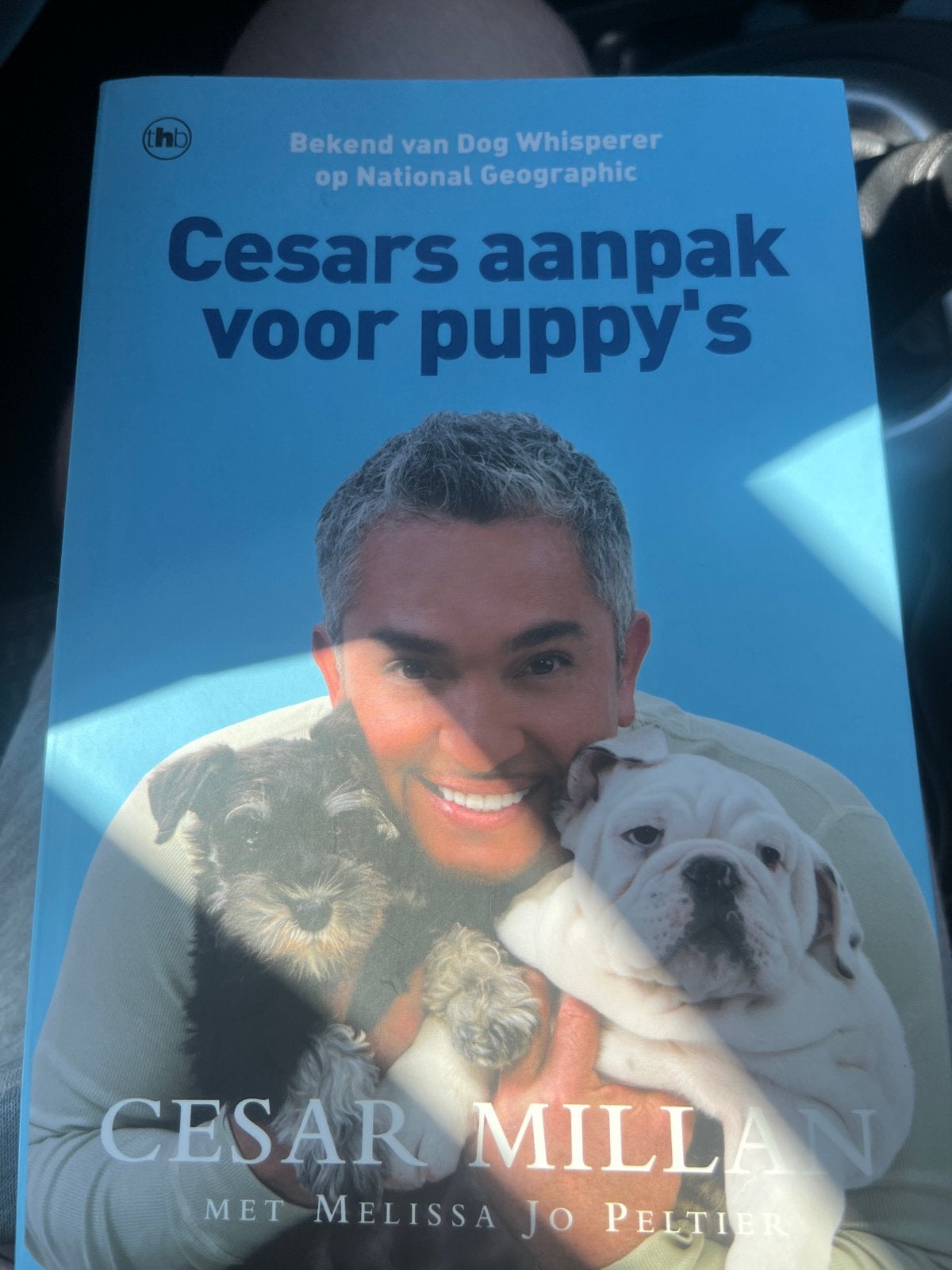 Cesar Millan's aanpak voor puppy's - Bekend van TV, Boeken, Ophalen of Verzenden, Zo goed als nieuw, Honden