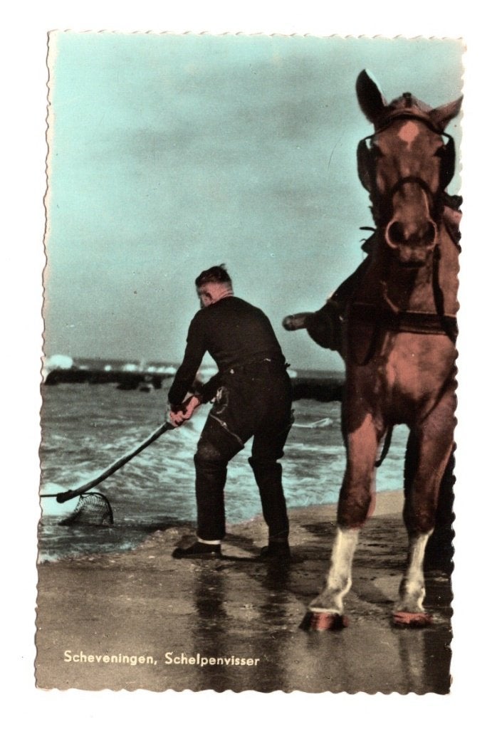 Oude Ansichtkaart Scheveningen Schelpenvisser Paard, Ophalen of Verzenden, 1940 tot 1960, Ongelopen, Zuid-Holland