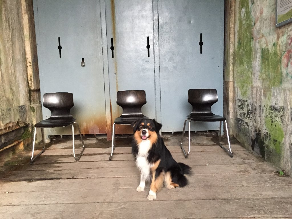 Pagholz / Thur-op- Seat / Flöttoto ( 42 op voorraad)