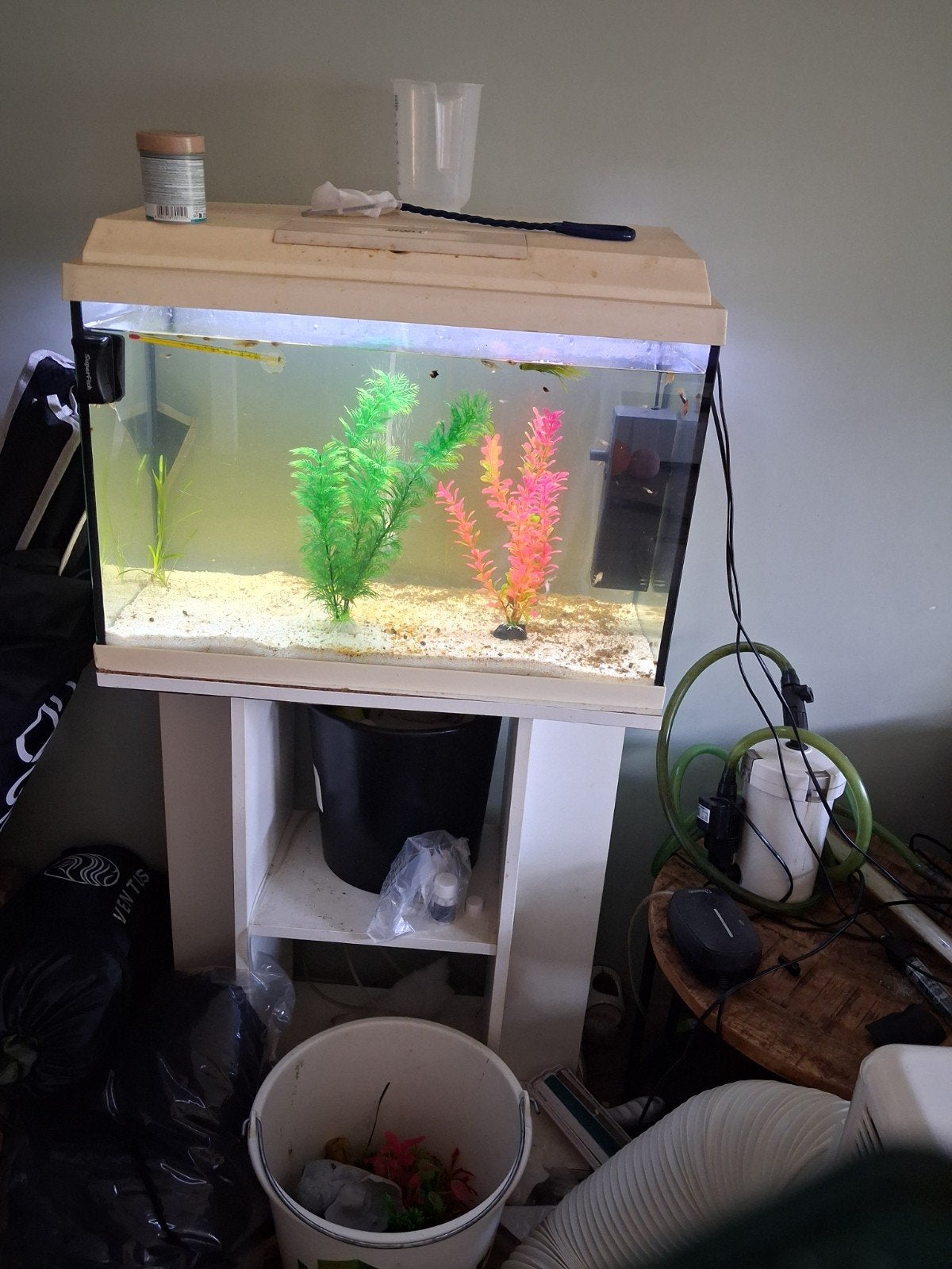 60cm met kast en vol met babyguppies, Dieren en Toebehoren, Vissen | Aquaria en Toebehoren, Ophalen of Verzenden, Leeg aquarium