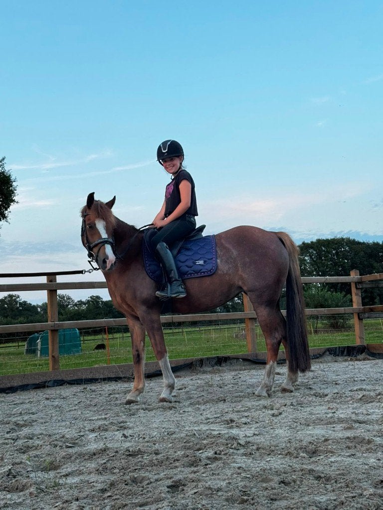 Welsh merrie (10 jaar) | Super lieve kinderpony | 133 cm, Merrie, C pony (1.27m tot 1.37m), 7 tot 10 jaar, Recreatiepony