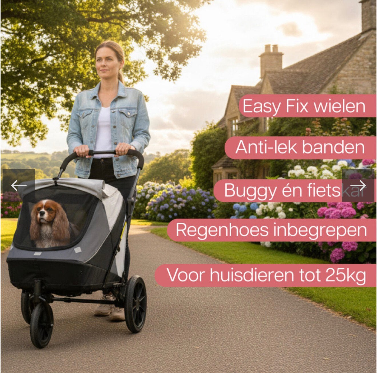 De nieuwe Innopet Noah kleur in grijs of groen, Innopet, Ophalen, Nieuw, Hondenfietskar