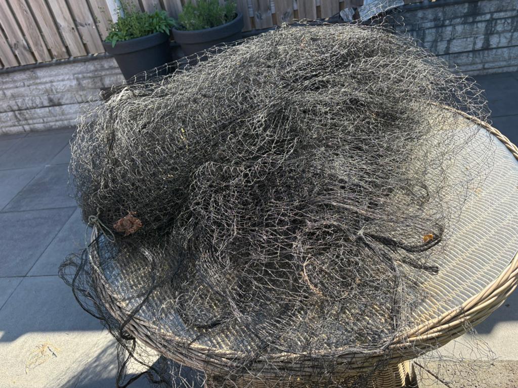 Zwart net voor diverse toepassingen, Tuin en Terras, Planten | Tuinplanten, Ophalen of Verzenden, Eenjarig, Groenteplanten, Volle zon