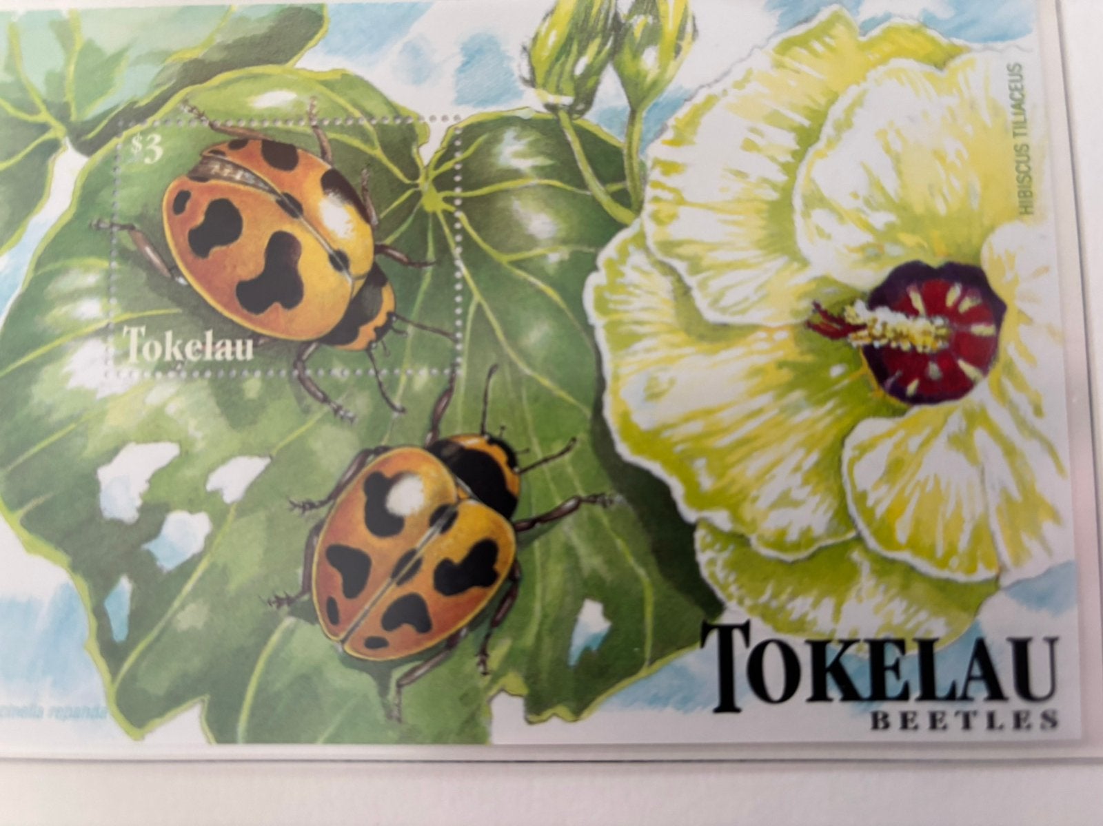 Tokelau-Eilanden 1998, Postzegels en Munten, Ophalen of Verzenden, Postfris