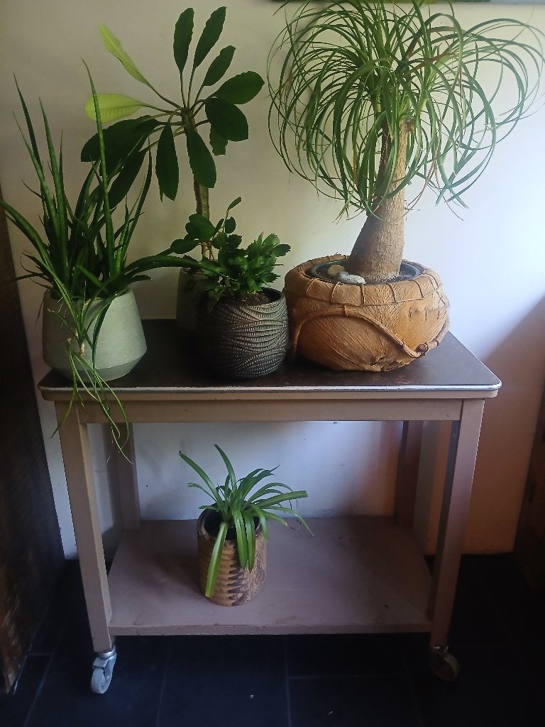 Vintage plantentafel, Huis en Inrichting, Tafels | Bijzettafels, Ophalen, Minder dan 55 cm, Gebruikt, Rond