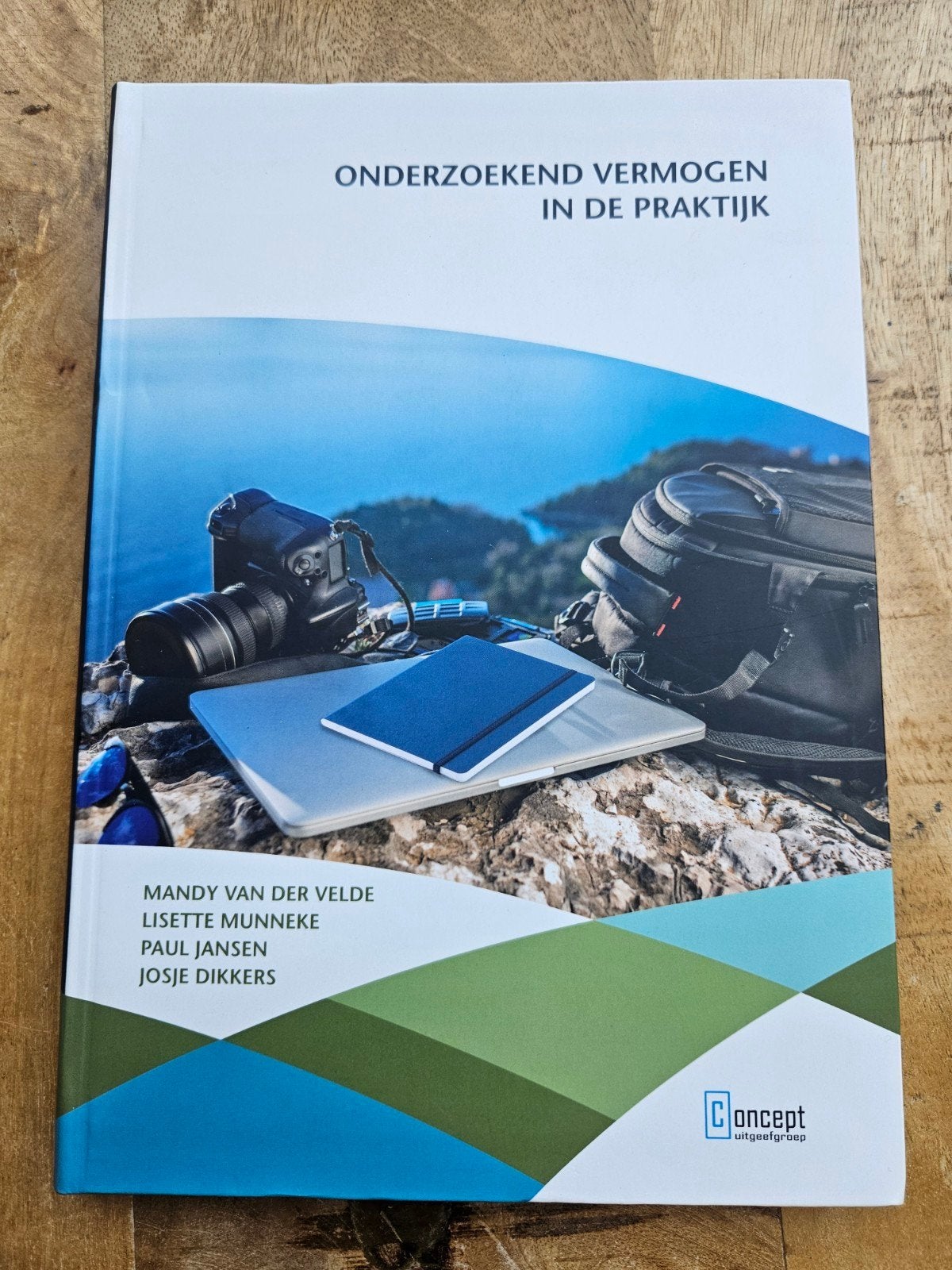 Onderzoeken vermogen in de praktijk 9789055163335, Boeken, Verzenden, Nieuw, HBO, Lisette Munneke; Mandy van der Velde; Paul Jansen; Josje Dikkers