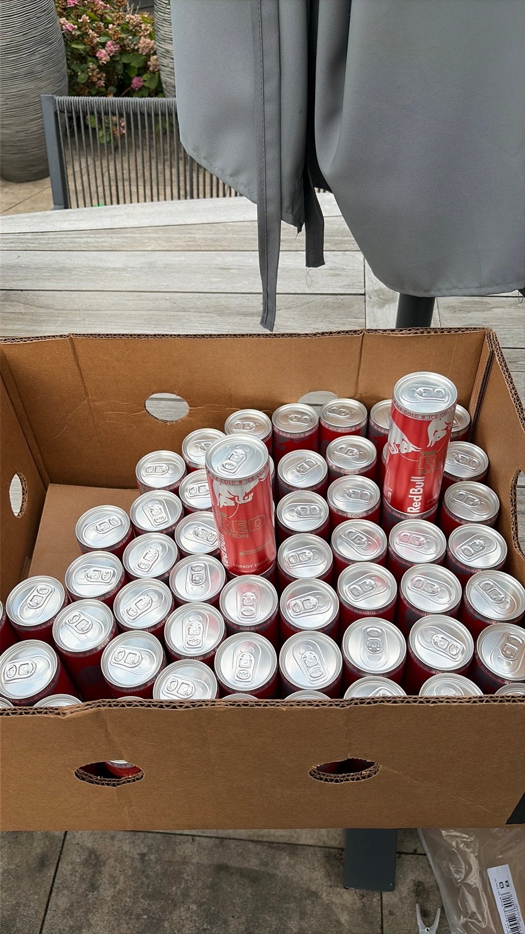58 blikjes RedBull RED 250 ml 58 stuks goed tot 28-08-2027, Ophalen of Verzenden