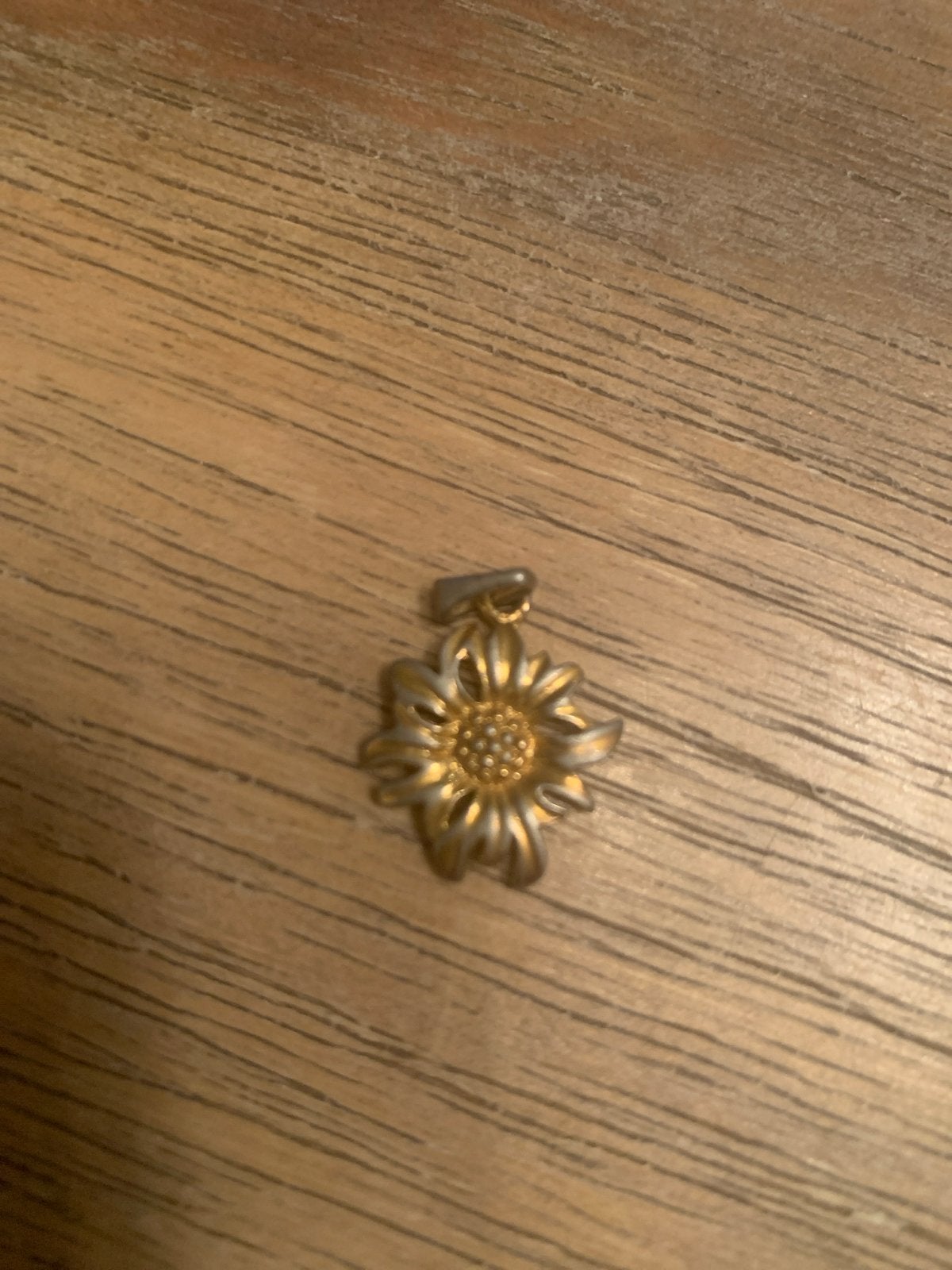Vergulde edelweiss hanger, Ophalen of Verzenden, Gebruikt, Goud, Bloem of Plant