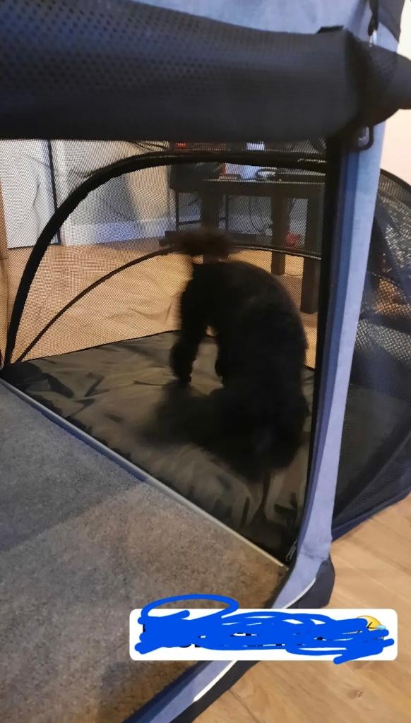 Dog crate, Ophalen, Gebruikt