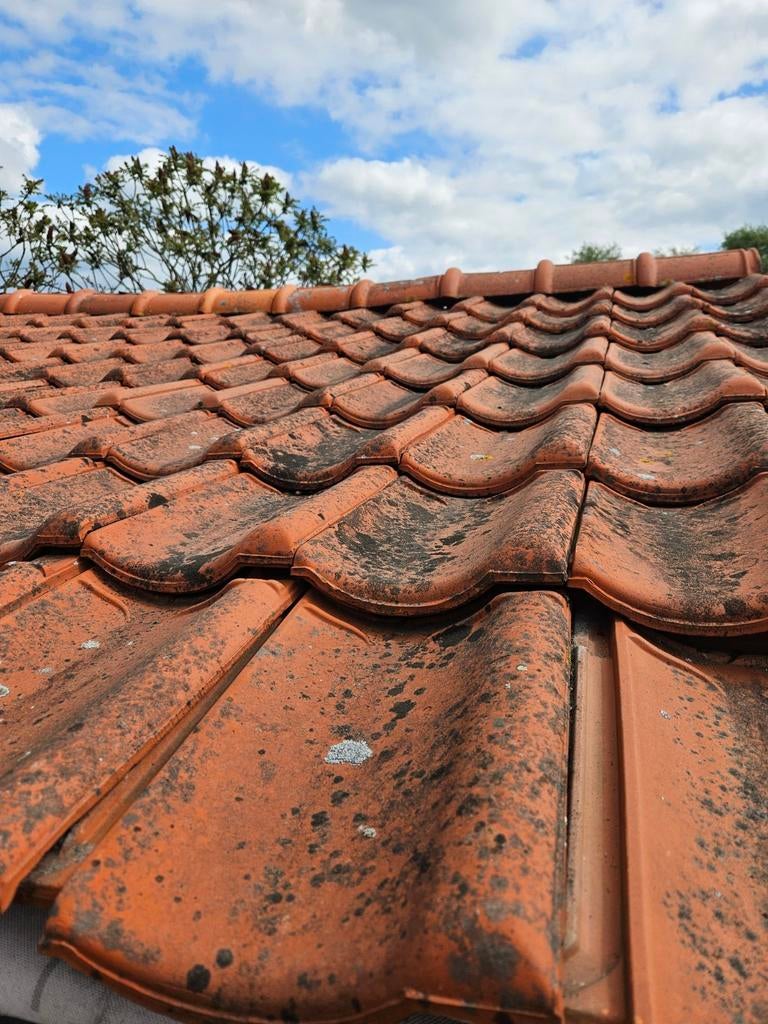 Oud Hollandse dakpannen - ca. 600 stuks met 20 nokpannen, Ophalen, Gebruikt, Steen of Klei, 15 m² of meer