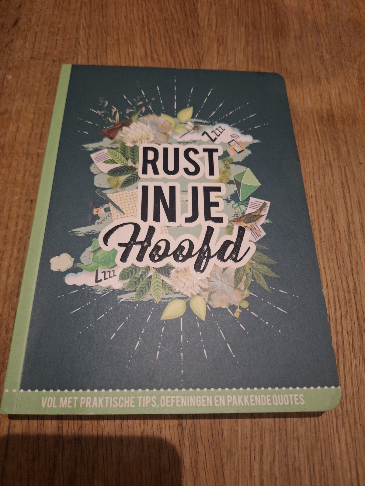 Rust in je Hoofd: Praktische tips en oefeningen, Ophalen of Verzenden, Nieuw