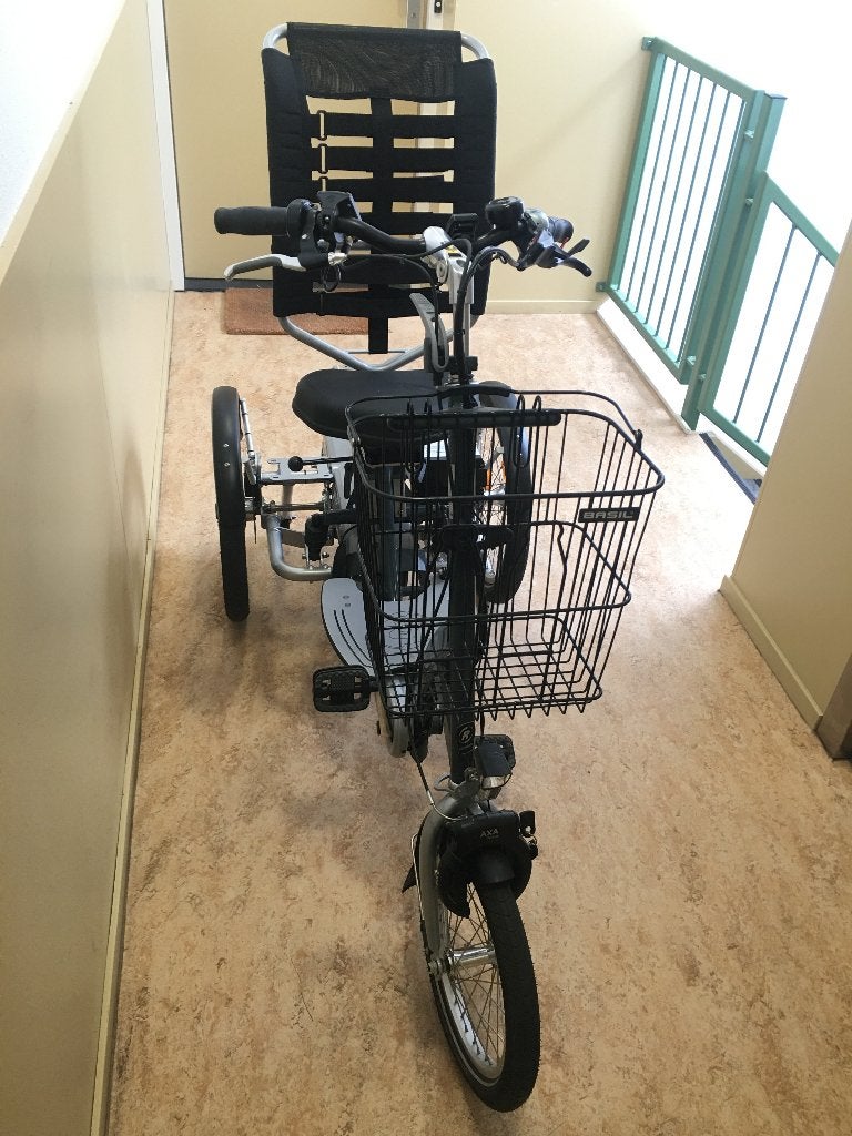 Foto 5 van Van Raam Easy Go Scootmobielfiets