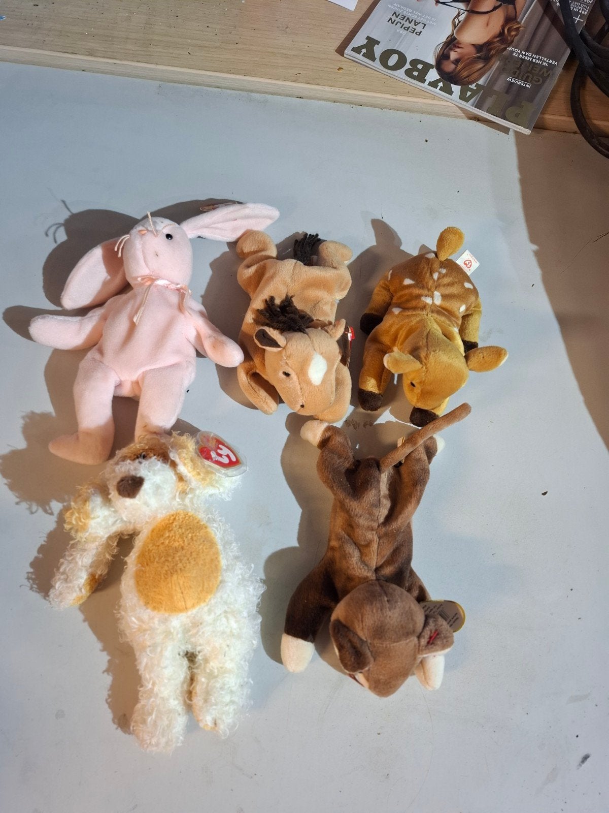 ty knuffel Leuke set van 5 Beanie Babies knuffels, diverse d, Oakbrook, IL 60523, USA, Info@ty.com, Overige karakters, Konijn