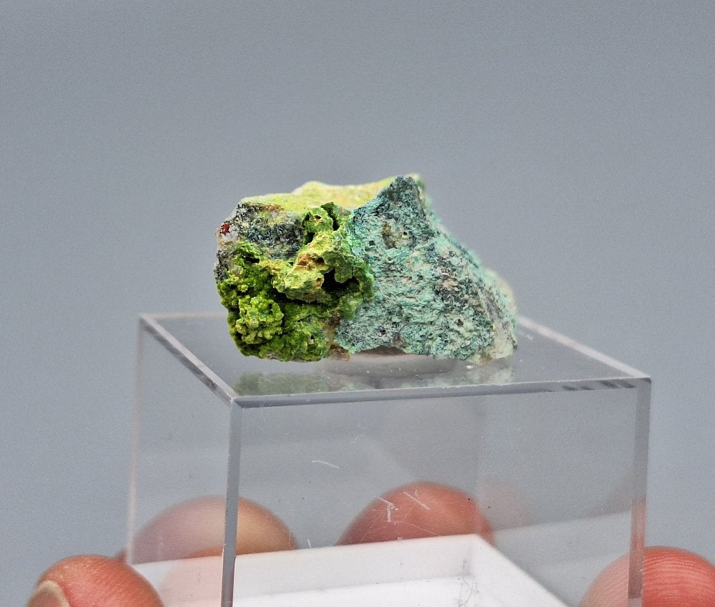 Arthuriet - Majuba Hill, Nevada, USA, Ophalen of Verzenden, Mineraal