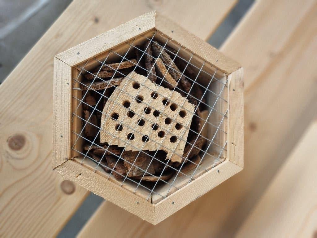Insectenhotel kleine zeshoek - Loods66B, Bijen