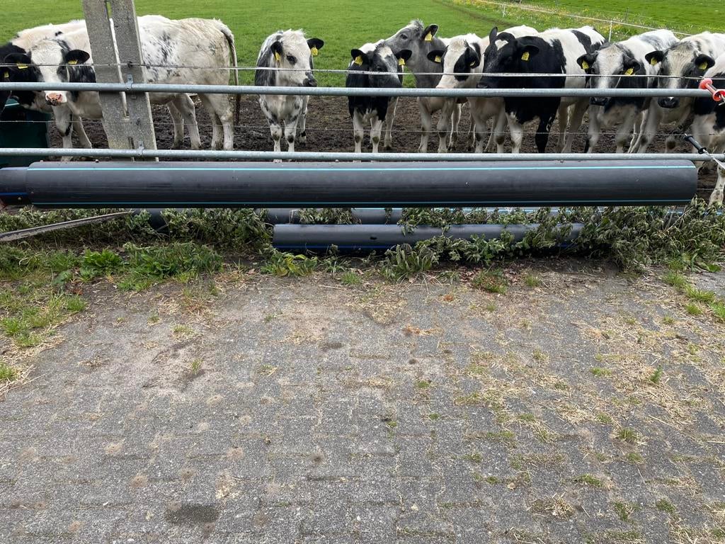Knieboom voor ligboxen, Dieren en Toebehoren, Stalling en Weidegang