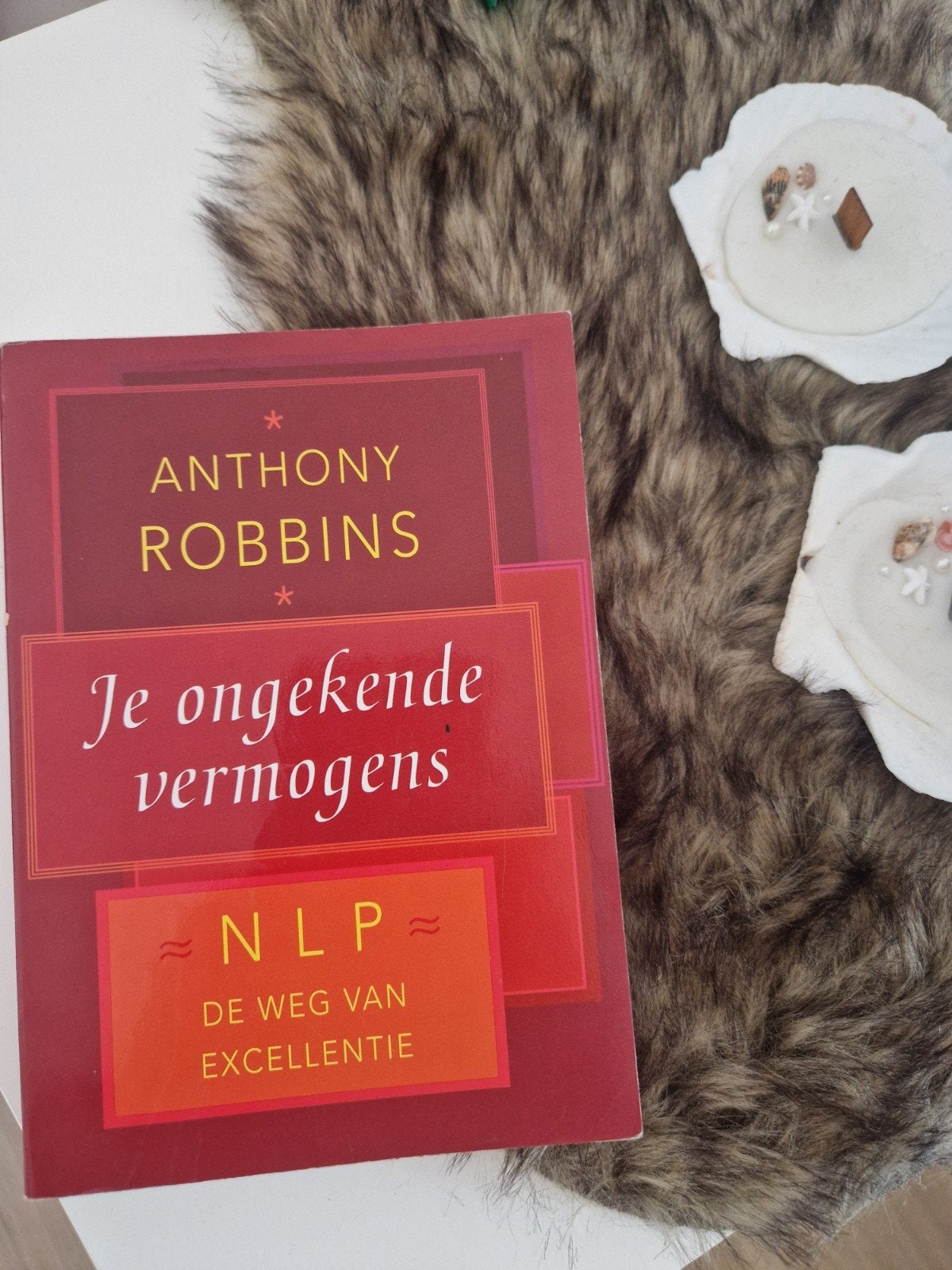 Je ongekende vermogens - Anthony Robbins (NLP) - 97890632529, Boeken, Ophalen of Verzenden, Gelezen, Anthony Robbins, Nederland