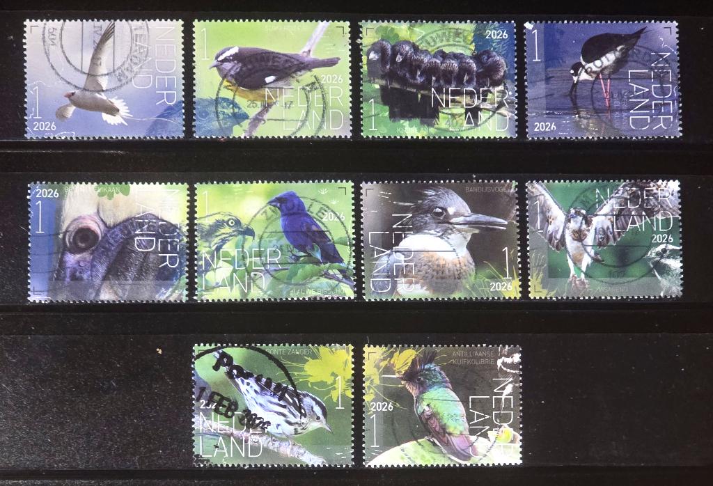 Postzegels 2026 Beleef de natuur vogels Saba complete serie, Ophalen of Verzenden, Na 1940, Gestempeld